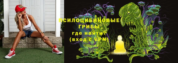 хмурый Зеленокумск